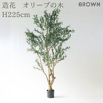 観葉植物 造花 オリーブ BROWN 全高約225cm 大型 実付き フェイクグリーン 高級 本物そっくり リアル おしゃれ インテリア 人工観葉植物 アーティフィシャルグリーン オフィス 店舗 ホテル カフェ 開店祝い 室内 リビング 玄関 風水 庭木 オリーブの木