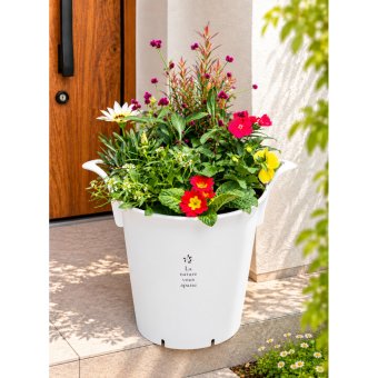 季節の寄せ植え La nature ハンドリーポット 内径24cm （ホワイト・4色展開）６～7種類のお花で構成 鉢植え ラッピング不可 ギフトメッセージOK