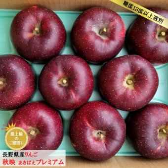 糖度13度保証 長野県産りんご 秋映 プレミアム ご贈答 果物 フルーツ お取り寄せ 産地直送 【送料無料(一部地域除く)】