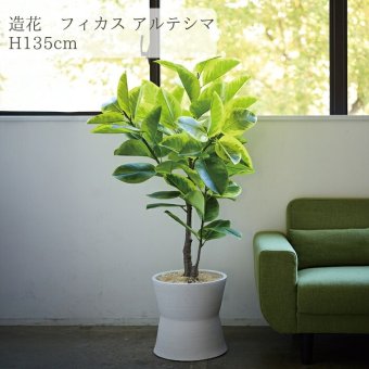 観葉植物 造花 フィカス アルテシマ BROWN 全高約135cm 大型 ゴムの木 フェイクグリーン 本物そっくり おしゃれ インテリア 人工観葉植物 アーティフィシャルグリーン オフィス 店舗 ホテル 開店祝い 室内 フェイク