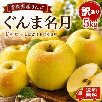 青森県産　りんご　ぐんま名月　訳あり　５ｋｇ　全国送料無料！