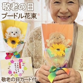 敬老の日 プレゼント ギフト 80代 70代 花 祖母 プードル花束 ギフト 花 プレゼント 花束 送料無料 プードル 犬 動物花束 ひまわり そのまま飾れる 日付指定 可能 フラワーギフト 誕生日 シャボンフラワー 癒し 実用的 おしゃれ 可愛い 誕生日 贈り物 お祝い 結婚祝い