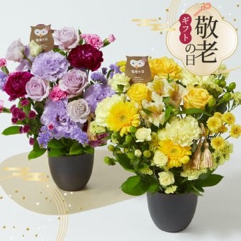 【敬老の日】 アレンジメント 豪華Mサイズ 敬老の日 ボリューム プレゼント ギフト 花 おじいちゃん おばあちゃん 祖父母 フラワー アレンジメント バラ  豪華サイズ 華やか 生花 アレンジメント 花束 メッセージカード付 