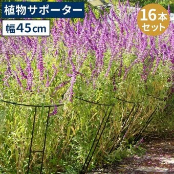 アイアン製植物サポーター 幅45 16本セット IF-N0047-16P奥行23 高さ85 ハーフリング 倒れ防止 広がり抑制 スチール 鉄製 支柱 園芸 植物サポート フラワーサポート 菜園 花壇