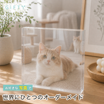 愛猫 ガラスブロック 猫 子猫 ペットグッズ 記念日 メモリアルグッズ オーダーメイド 名入れ 誕生日 オリジナル メモリアル ペット仏壇 写真立て ギフト ディスプレイ おしゃれ うさぎ フォトキューブ ペット 感謝 プレゼント クリスタル 犬 ペットロス 虹の橋 サプライズ 愛猫家 置き物 フォトフレーム うちの子 記念 ペット写真 愛犬家 飼い主 贈り物 写真入り 写真 高級 肉球【c01】