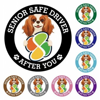 カーサイン 高齢者マーク SENIOR SAFE DRIVER キャバリアキングチャールズスパニエル ステッカー シール 直径13cm 肉球 日本製 車