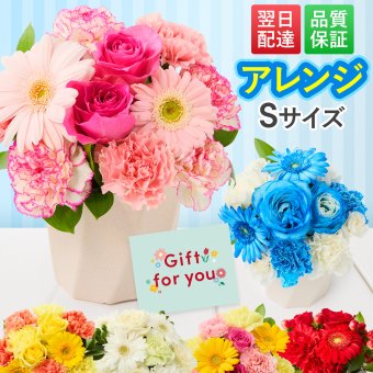 そのまま飾れる アレンジメント Sサイズ 敬老 お中元 敬老の日 退職 入学 送料無料 土日発送OK アレンジ 誕生日プレゼント バラ ギフト フラワー 花束 生花 お祝い フラワーギフト 花 花瓶いらず プレゼント 花 ギフト 50代 60代 70代
