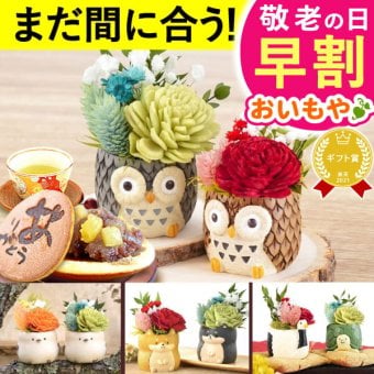 ＼早割！9/8の16時まで／ 敬老の日 誕生日 プレゼント 花 ギフト プリザーブドフラワー アニマル 動物 ペア ミニ 小さい かわいい おしゃれ ふくろう 犬 猫 バラ 薔薇 一輪 セット どら焼き どらやき 送料無料 スイーツ お菓子 和菓子 ギフトセット 母 実母 自分の母 義母 妻 40代 50代 60代 70代 花セット 花とお菓子 おいもや 敬老の日 誕生日期間 翌日配送 不可