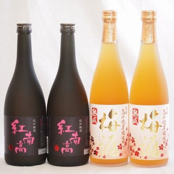 梅酒4本セット(紅南高梅酒20度(和歌山) 高千穂産梅使用熟成梅酒) 720ml×4本