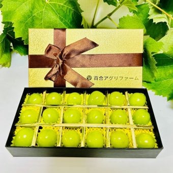 【予約】岡山県 シャンマスカット 宝石箱 長方形化粧箱 ゴールド 1箱18粒入り 厳選秀品 大粒 プレゼント フルーツ