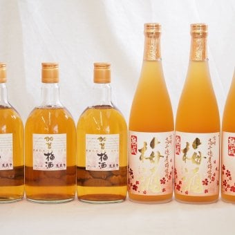 梅酒6本セット(加賀梅酒(石川県) 高千穂産梅使用熟成梅酒) 720ml×6本