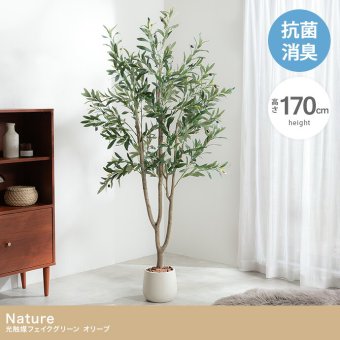 【高さ170cm】光触媒人工観葉植物 オリーブ 幅70cm×奥行60cm×高さ170cm オフィス 天然木 ポリエステル 組立品 お部屋に気軽に飾れて空間を美しく彩るフェイクグリーン 本物の植物のようなリアルな質感とインテリアに馴染む風合いが魅力です