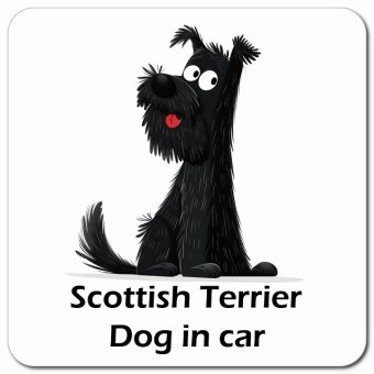 Scottish Terrier スコティッシュテリア カーサイン 車 マグネット 強力 13x13cm 正方形 アメリカン カートゥーン スタイル アニメ風 マグネットステッカー 犬 かっこいい おしゃれ 安全対策 煽り運転 屋外 防水 屋内