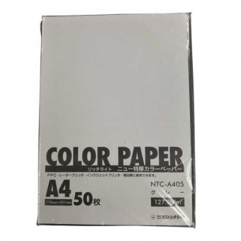 オストリッチダイヤ リッチライト ニュー特厚カラーペーパー A4 グレー 50枚入 厚口 色上質紙 厚紙 用紙 印刷用紙 クラフト ペーパークラフト メニュー表 案内状