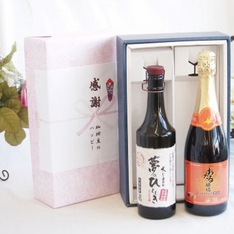 感謝の贈り物ボックス プレミアムな長期熟成麦焼酎と国産ワインセット(おたる醸造 キャンベル赤スパークリングワインやや甘口(北海道)720ml夢のひととき長期貯蔵5年熟成麦焼酎(大分県)720ml