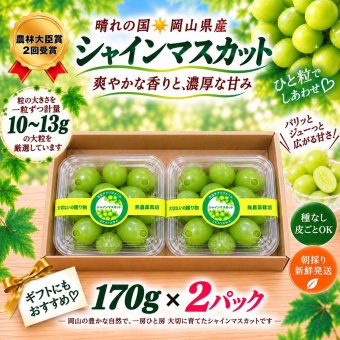 【予約】岡山県 ぶどう 2026年 シャインマスカット 小分け 秀品 粒だけ 約170g 2パック 7月から発送 プレゼント 自宅用 お試し フルーツ