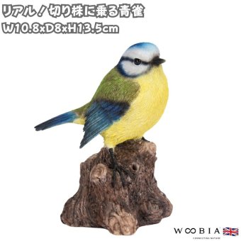 置物 鳥 青雀 高さ13.5cm woobia ウービア アオガラ 野鳥 リアル おしゃれ 玄関 インテリア オブジェ ガーデン 北欧 ナチュラル 小鳥 動物 アニマル 癒し 鳥好き 出窓 棚 プレゼント ギフト バードウォッチング