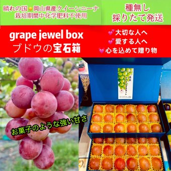 【予約】贈答用化粧箱 岡山県産 クイーンニーナ 宝石箱 厳選秀品大粒36粒 国産 プレゼント フルーツ