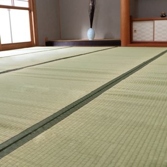 夏ラグ 夏用カーペット 純国産 い草 上敷き カーペット 双目織 『草津』 本間6畳(約286×382cm）