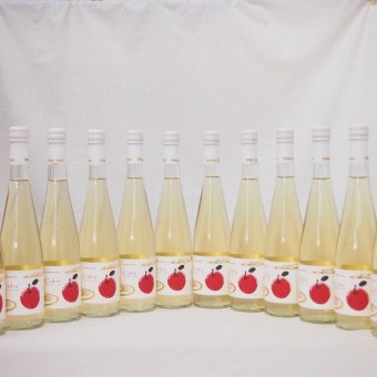 12本セット(cidreりんご発泡酒) 500ml×12本