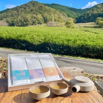 【自然栽培のお茶】ティーバッグ3種セット：煎茶・ほうじ茶・紅茶【送料無料(一部地域除く)】