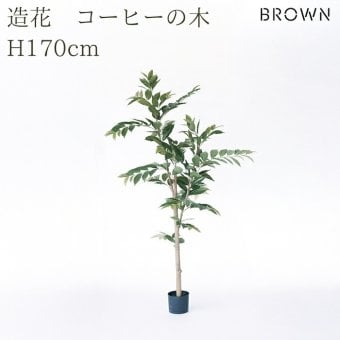 観葉植物 造花 コーヒーの木 BROWN 全高約170cm 大型 スリム フェイクグリーン 高級 本物そっくり リアル おしゃれ インテリア 人工観葉植物 アーティフィシャルグリーン カフェ オフィス 店舗 開店祝い 室内 リビング 玄関 寝室 風水 コーヒーノキ