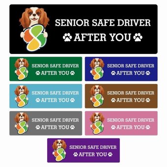 カーサイン 高齢者マーク SENIOR SAFE DRIVER キャバリアキングチャールズスパニエル ステッカー シール 長方形 15x5cm 肉球 日本製 車