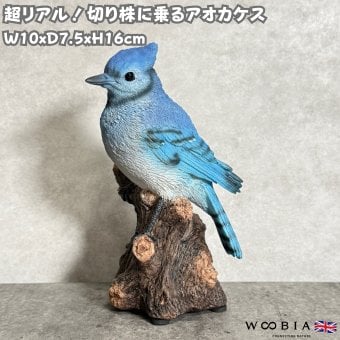 置物 鳥 アオカケス 高さ16cm woobia ウービア 野鳥 リアル おしゃれ 玄関 インテリア オブジェ ガーデン 北欧 ナチュラル 青い鳥 動物 アニマル 癒し 小鳥 鳥好き 出窓 棚 プレゼント ギフト バードウォッチング
