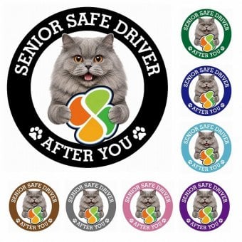 カーサイン 高齢者マーク SENIOR SAFE DRIVER ブリティッシュロングヘア ステッカー シール 直径13cm 肉球 日本製 車