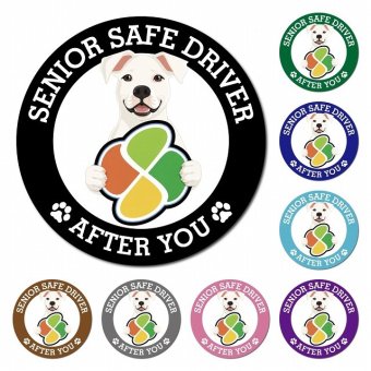 カーサイン 高齢者マーク SENIOR SAFE DRIVER ドゴアルヘンティーノ マグネット 強力 直径13cm 肉球 日本製 車 ステッカー