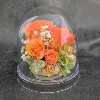 プリザーブドフラワー／オレンジの大輪の薔薇と小花のクリアドームギフト