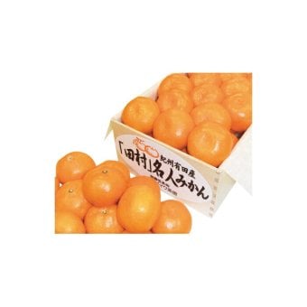 送料無料 お歳暮 ダイワ果園 紀州有田「田村」名人みかん  ※12月上旬?12月下旬出荷 北海道・沖縄・離島は配達不可 全国送料無料御中元ギフト早割お中元2026御中元御見舞お見舞いお取り寄せグルメスイーツ