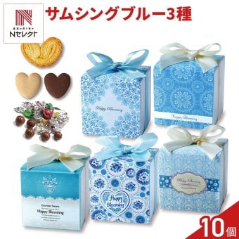 サムシングブルー 焼き菓子 チョコ 詰め合わせ ギフト 3種8個入 計10セット 焼き菓子 来客 手土産 引っ越し 挨拶【北海道・沖縄県・離島 配送不可】