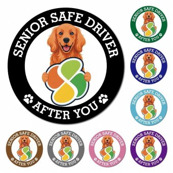カーサイン 高齢者マーク SENIOR SAFE DRIVER アイリッシュセター マグネット 強力 直径13cm 肉球 日本製 車 ステッカー