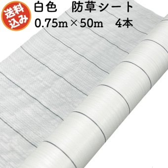 防草シート 白色（サンホワイト） 0.75m×50m 4本セット 抗菌剤入り UV剤入り  反射シート 草抑え 除草シート 雑草防止シート 雑草対策 農業資材 太陽光 環境制御 防ぐ 作物 野菜 果物 畑 農業 農園 農家 園芸 マルチング 温度抑制