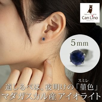 ピアス 金属アレルギー対応 アイオライト 5mm 宝石質 サージカルステンレス つけっぱなし セカンドピアス 品質保証書 ギフト 3月 9月 誕生石 青 紫 天然石 レディース メンズ 片耳用