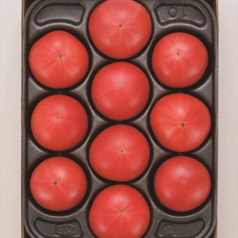 送料無料 北海道産地直送  フルーツトマトはるかエイト約800g  ※ご注文後約7～10日前後での発送となります。沖縄・離島へは別途配送料が発生いたします お取り寄せグルメ スイーツ