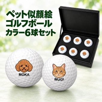 ペット似顔絵 ゴルフボール 6球 カラー 名入れ ペットの写真から作る オーダーメイド 犬 猫 うさぎ ハムスター インコ カメ キャロウェイ WARBIRD オリジナル ゴルフ プレゼント ペット好き 誕生日 記念日 ギフト