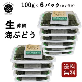 【生】海ぶどう10パックセット（100g×10パック）