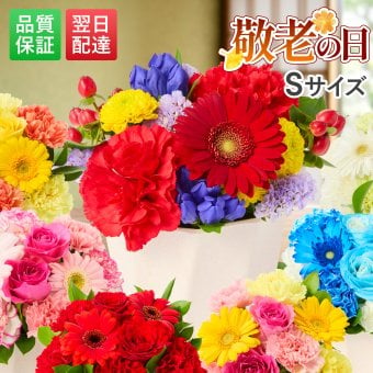 そのまま飾れる アレンジメント Sサイズ 敬老 お中元 敬老の日 退職 入学 送料無料 土日発送OK アレンジ 誕生日プレゼント バラ ギフト フラワー 花束 生花 お祝い フラワーギフト 花 花瓶いらず プレゼント 花 ギフト 50代 60代 70代