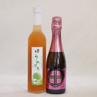 梅酒特集2本セット(薩摩スパークリングにごり梅酒梅太夫(鹿児島) 奥の松純米酒ベースうめとろ(福島)) 375ml×1本 500ml×1本