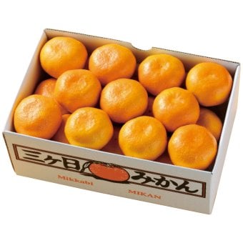 送料無料 お歳暮  静岡県産 三ヶ日みかん約2.5kg   ※11/2以降の出荷予定となります。北海道・沖縄・離島は配達不可 全国送料無料 御歳暮 早割 お歳暮2026 御挨拶 お取り寄せ グルメ スイーツ