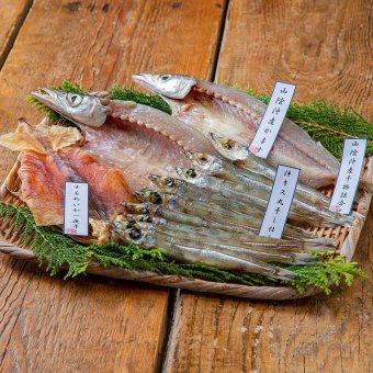 山陰近海干物詰合せ  ／魚介類・水産加工品 食品 敬老の日 プレゼント ギフト お彼岸 お供え 秋 送料無料 取り寄せ グルメ 産地直送 センター スイーツ お菓子 高級 ご飯 食品 飲料 おかず つまみ おやつ