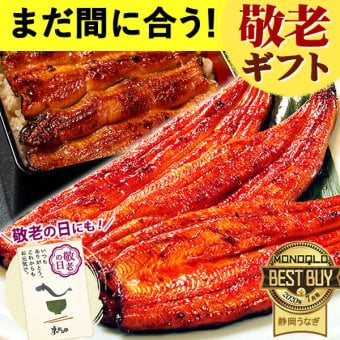 【早割 9/14 16時まで】 敬老の日 すぐ贈れるギフト 即日発送 うなぎ 国産 【浜松 浜名湖 うなぎのたなか】 誕生日 プレゼント ギフト 鰻 うなぎのたなか 蒲焼き 誕生日プレゼント グルメギフト 送料無料  お祝い グルメ 人気 内祝い ご褒美 90～110g 2本～6本 土用の丑 海鮮 食べ物 おつまみ 高級 簡易箱 化粧箱 風呂敷 1～6人前 40代 50代 60代 70代 80代