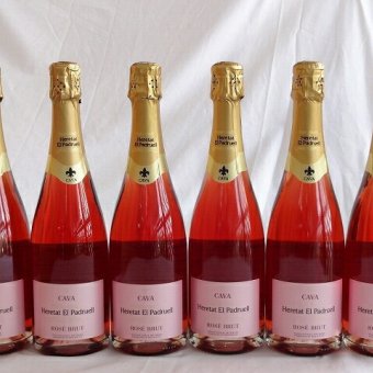 12本セット カヴァ　エレタット　エル　パドルエル　ブリュット　ロゼ（スペイン） 辛口750ml×12本
