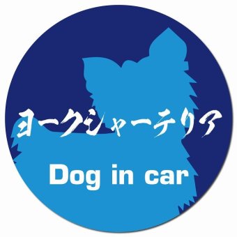 Dog in car ヨークシャーテリア 毛筆書体 ブルー カーサイン 車 マグネットステッカー 犬 マグネット 強力 直径13cm 丸型 おしゃれ かわいい ドラレコステッカー 安全対策 危険運転 煽り運転 アニマル 動物 犬種別 屋外 防水 屋内
