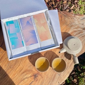 【自然栽培のお茶】リーフ（大）3種セット：煎茶・ほうじ茶・紅茶【送料無料(一部地域除く)】