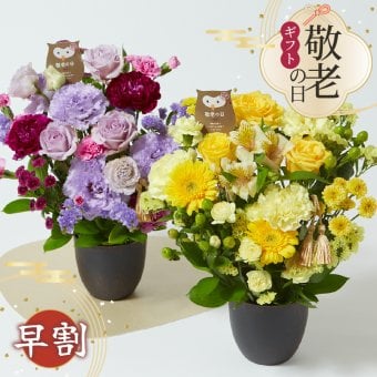 【早割】【9/10 12時まで】【敬老の日】 アレンジメント 豪華Mサイズ 敬老の日 ボリューム プレゼント ギフト 花 おじいちゃん おばあちゃん 祖父母 フラワー アレンジメント バラ  豪華サイズ 華やか 生花 アレンジメント 花束 メッセージカード付 