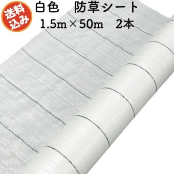 防草シート 白色（サンホワイト） 1.5m×50m 2本セット 抗菌剤入り UV剤入り  反射シート 草抑え 除草シート 雑草防止シート 雑草対策 農業資材 太陽光 環境制御 防ぐ 作物 野菜 果物 畑 農業 農園 農家 園芸 マルチング 温度抑制