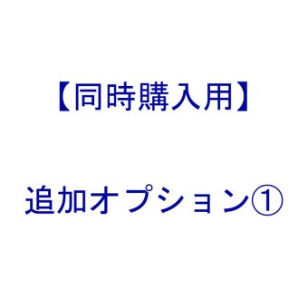 【 同時購入用 ： 追加 オプション 】オプション①【 本体は別売です 】